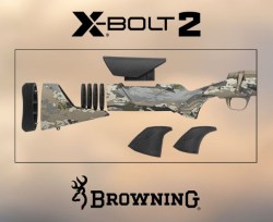 xbolt stock